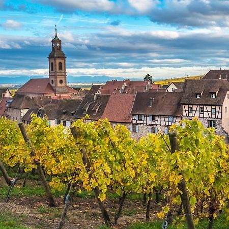 Gite "Le Piemont Des Vosges " Stotzheim Zewnętrze zdjęcie