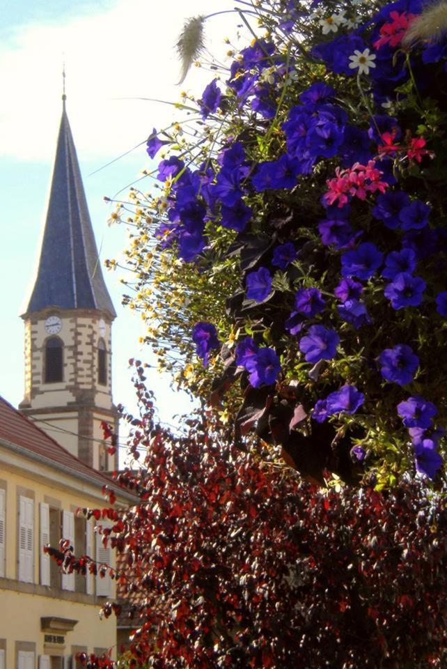 Gite "Le Piemont Des Vosges " Stotzheim Zewnętrze zdjęcie