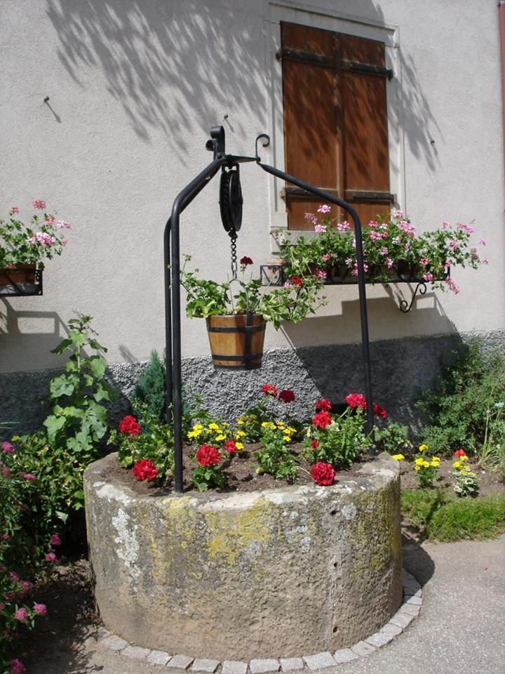 Gite "Le Piemont Des Vosges " Stotzheim Zewnętrze zdjęcie