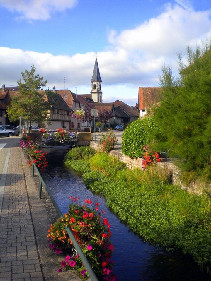 Gite "Le Piemont Des Vosges " Stotzheim Zewnętrze zdjęcie