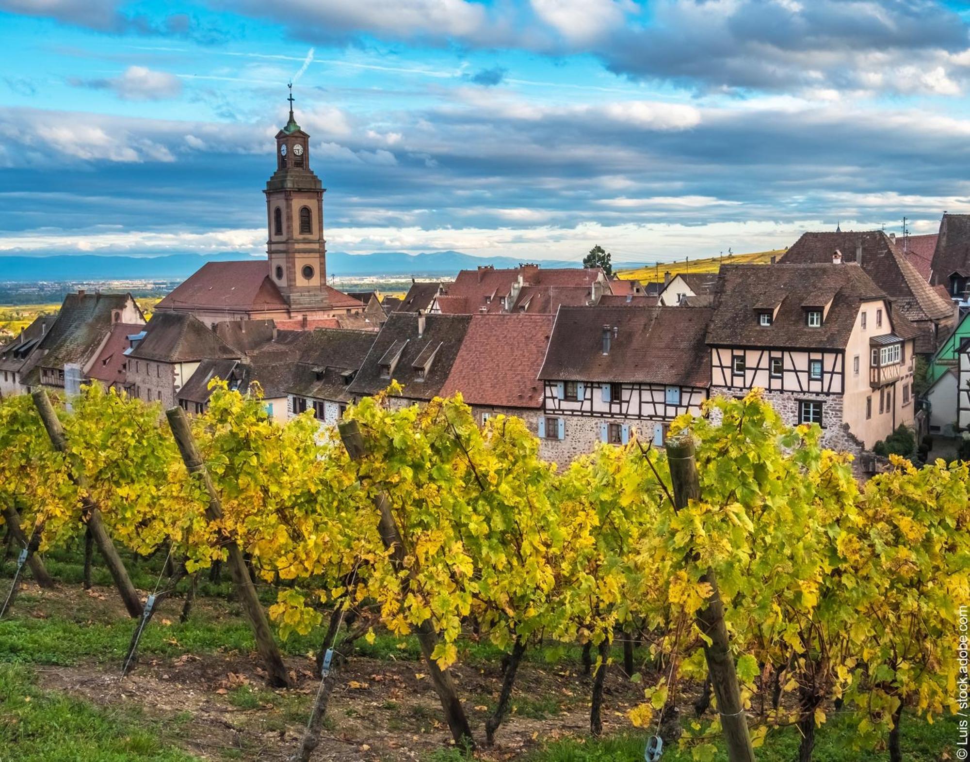 Gite "Le Piemont Des Vosges " Stotzheim Zewnętrze zdjęcie