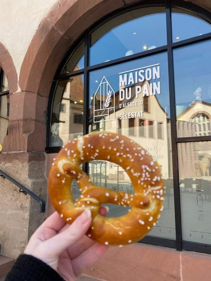 Gite "Le Piemont Des Vosges " Stotzheim Zewnętrze zdjęcie