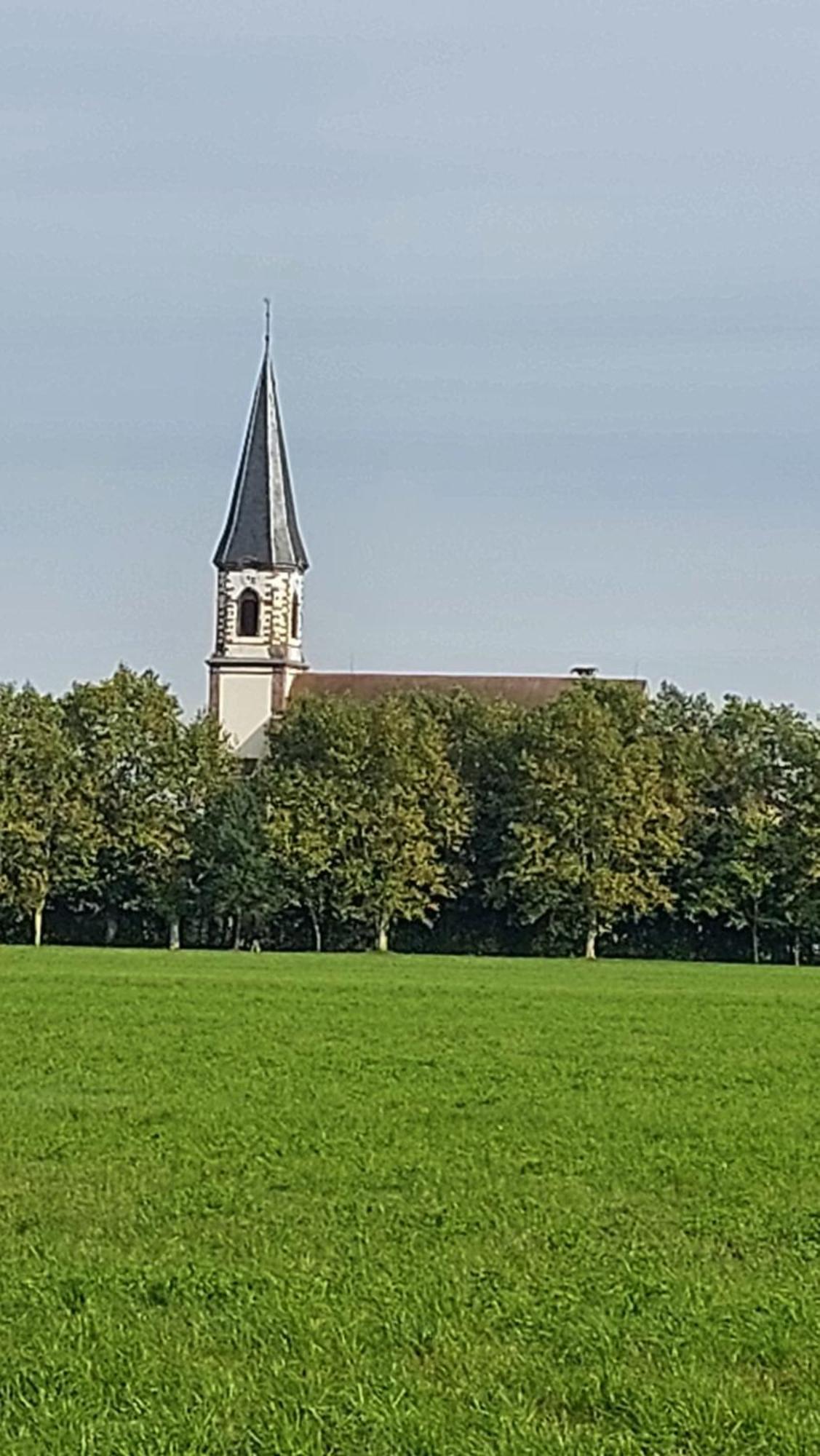 Gite "Le Piemont Des Vosges " Stotzheim Zewnętrze zdjęcie