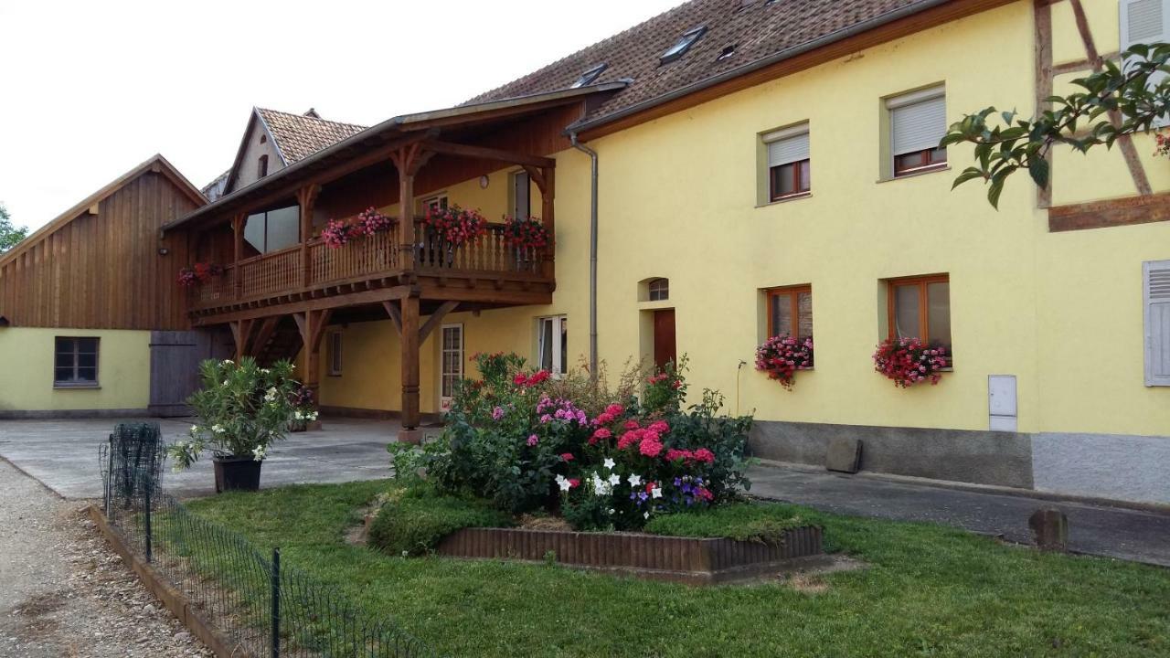 Gite "Le Piemont Des Vosges " Stotzheim Zewnętrze zdjęcie