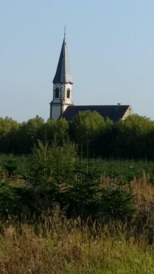 Gite "Le Piemont Des Vosges " Stotzheim Zewnętrze zdjęcie